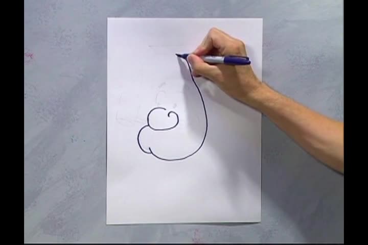 Drawing With Fred: Lil Abners Mom with Betty Boop!