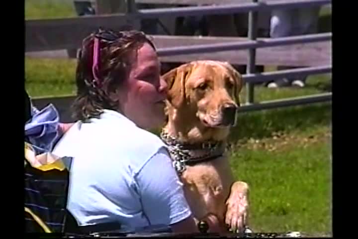 The Derby Street Variety Show: Service Dogs