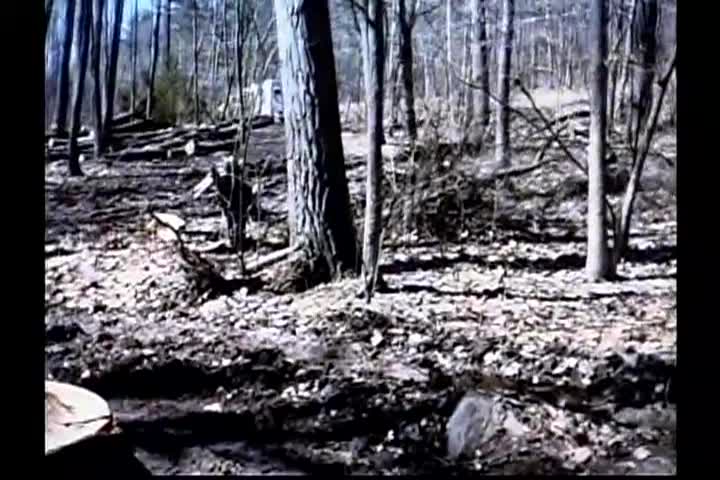 New Englanders: Loggan Timber Tales