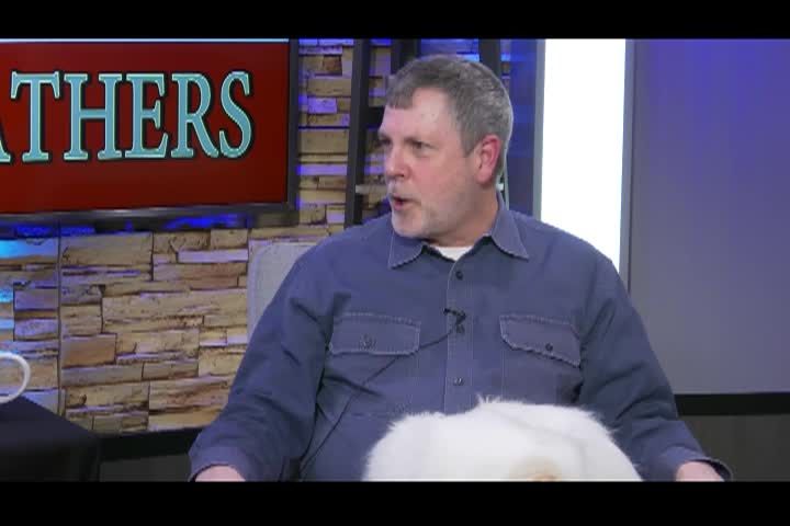 Fur, Fins and Feathers