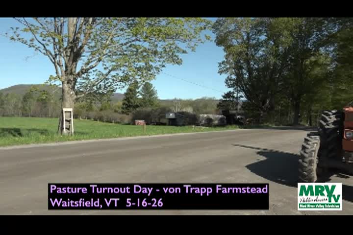 Pasture Turnout Day at Von Trapp Farmstead 5/16/26
