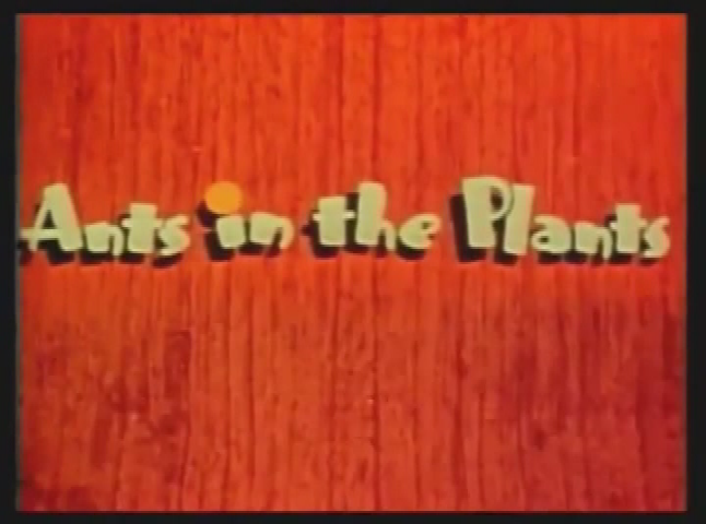 Salem Drive in Theater: Mystery Man
