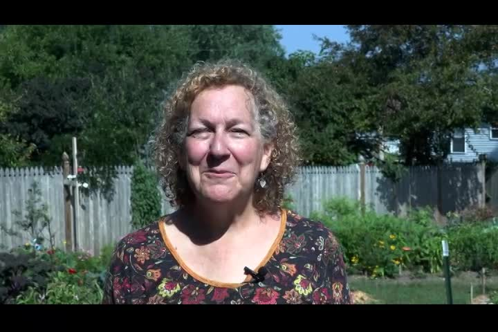 Creating a Food Forest Garden