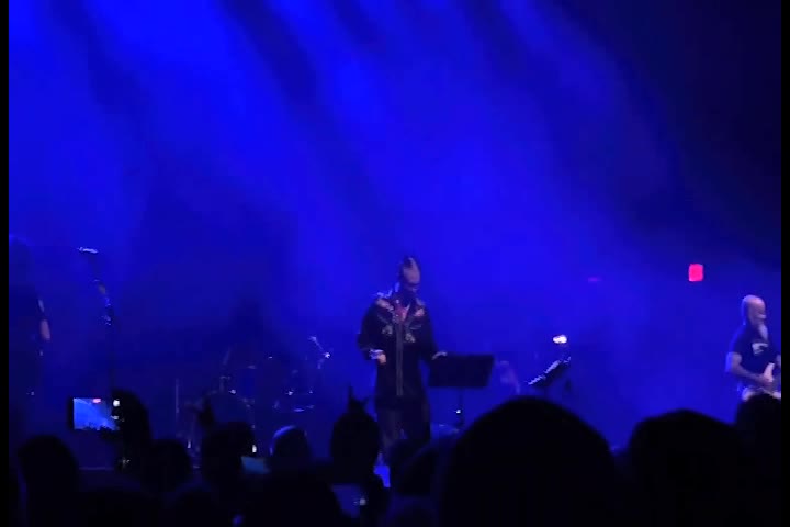 Brainsponge Concerts