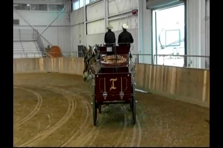 New Englanders: A Day At The Topsfield Fair