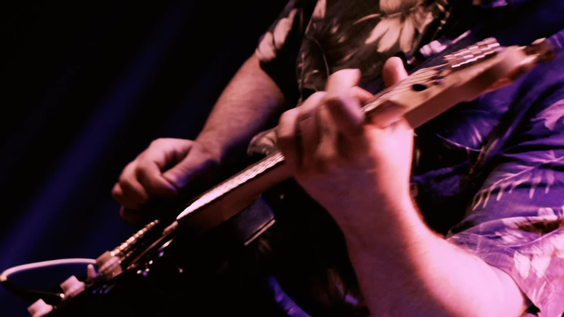 Sonic Lobotomy: Zygote Theory