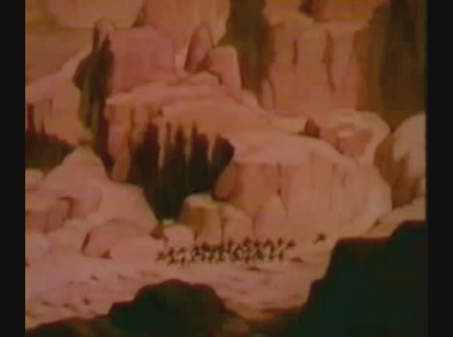 Salem Drive In Theater - A Scream in the Night