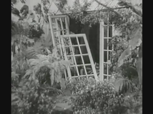 Salem Drive In Theater: Bride of The Gorilla