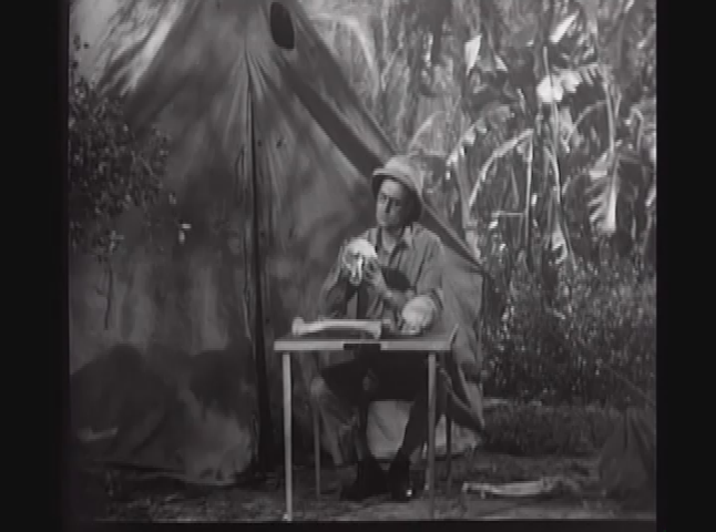 Salem Drive In Theater: Law of The Jungle