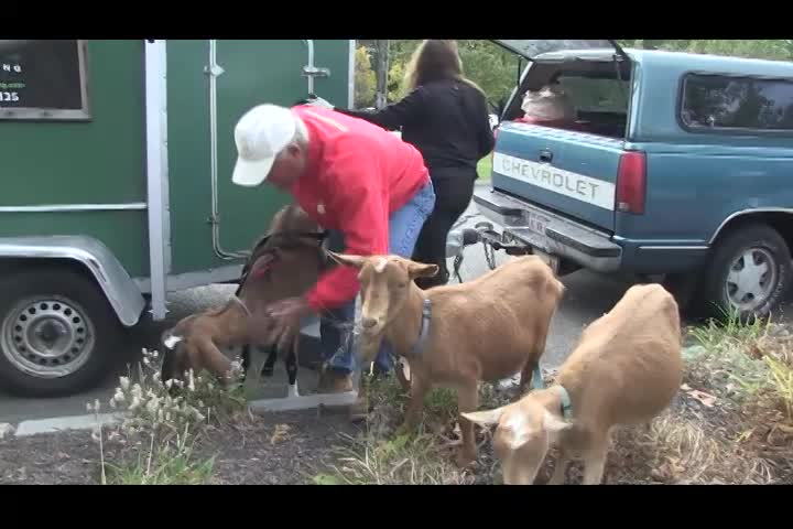 Around the Garden with Jimmy K