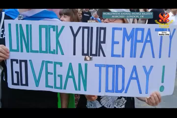 Rooted in Health: Transforming Spaces with Organic Gardening