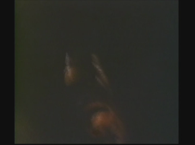 Salem Drive In Theater: The Creeper