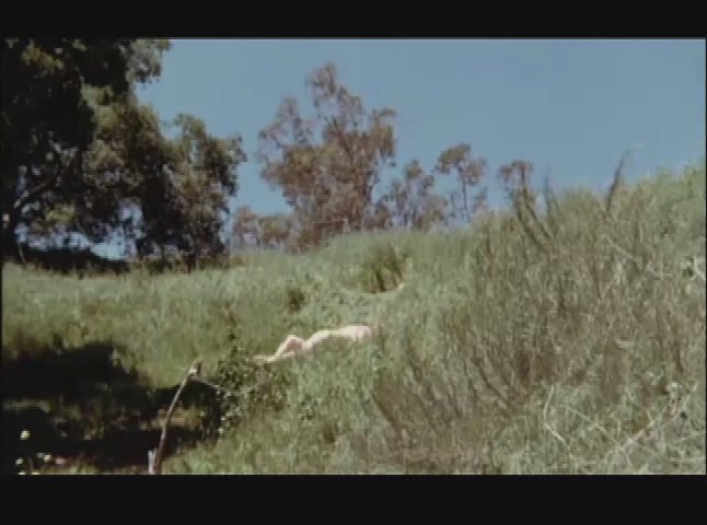 Salem Drive In Theater: Invasion Of The Bee Girls