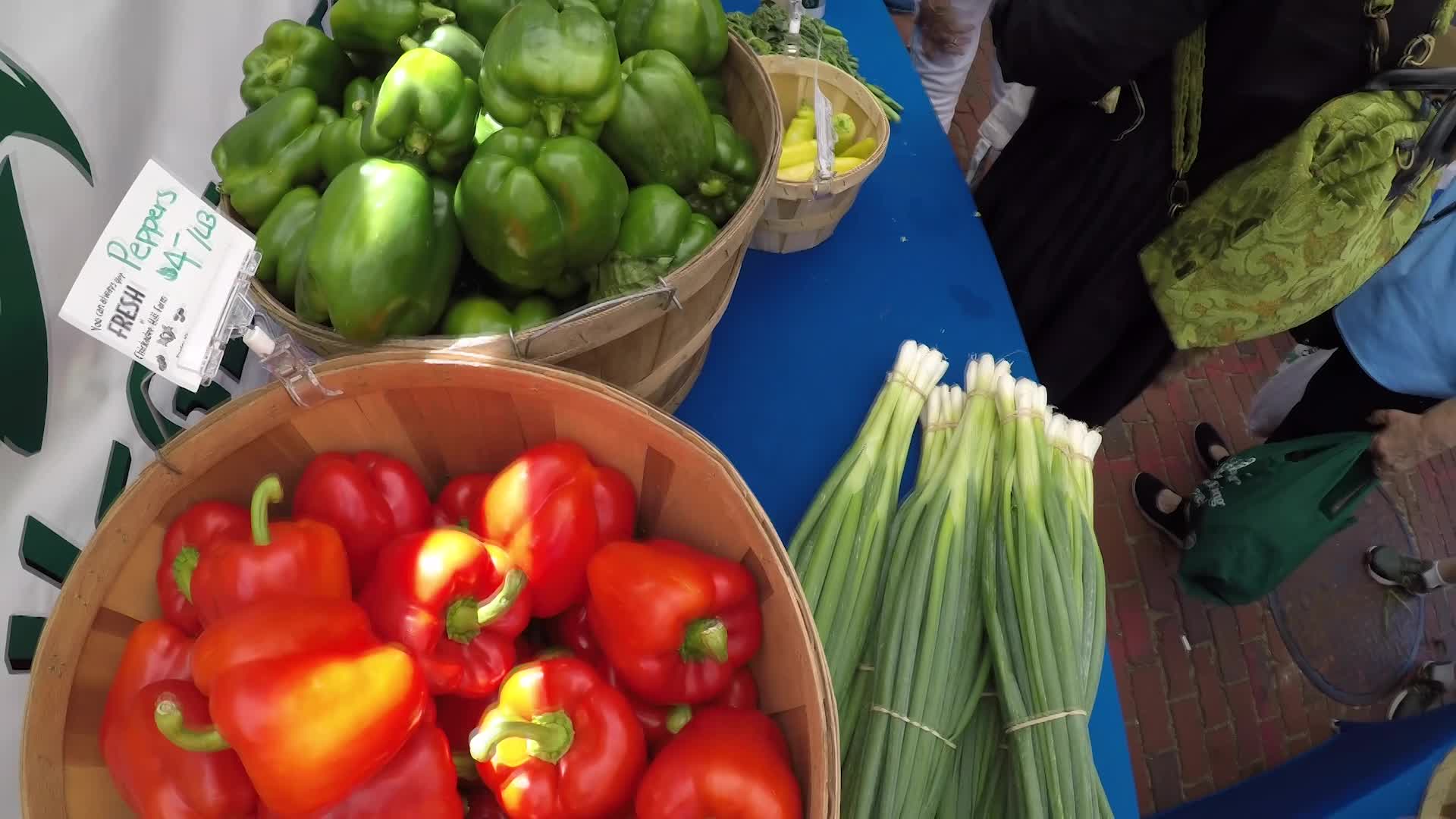 Salem MA Farmers Market 2025